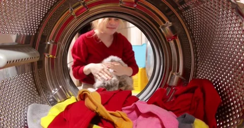 Funny cat sitting in the washing machine, view from inside the washing machin Stock-Footage 152856436