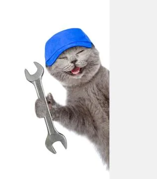 Funny cat worker in blue cap with wrench behind white banner. Isolated on whi Stock Photos