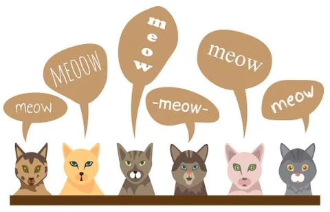Funny cats with text meow in flat style. Isolate on white background. Vector  Stock Illustration