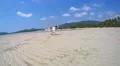 Funny Cheerful Dog Running on the Beach. Slow Motion HD Footage