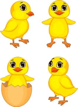 Funny chick cartoon Stock Illustration