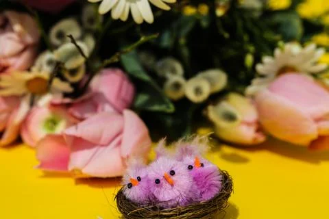 Funny chicks in the nest, Happy Easter Stock Photos