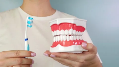 A funny children's presentation with a dancing toothbrush and jaw models in Stock Footage 306297438