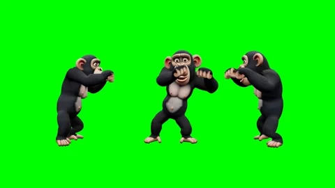 Funny chimpanzee performing a silly dance on green screen. 4K 動画素材 348006068