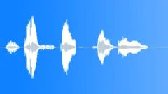 Funny chipmunk success shoutSound Effect