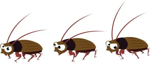 Funny cockroach walking Stock Illustration