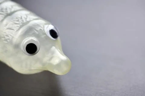 Funny condom with eyes Stock Photos