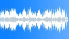 Funny Country GuitarsStock Music