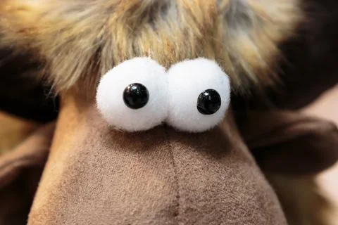 Funny crazy comic artificial homemade eyes, toy making Stock Photos