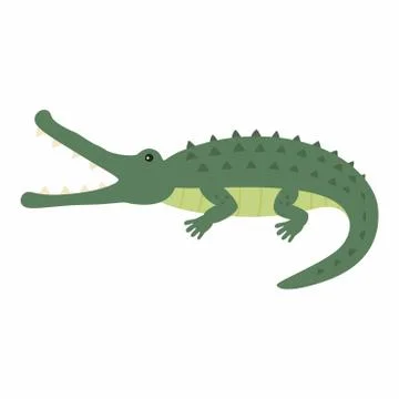 Funny crocodile. Vector illustration isolated on white background. Stock Illustration