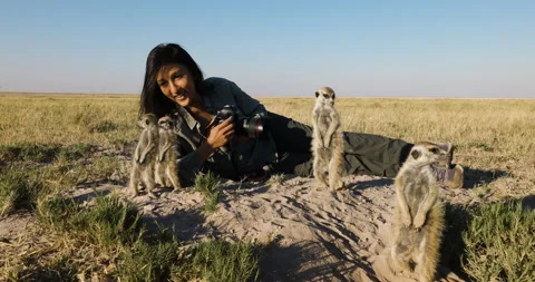 Funny cute animals. Close-up portrait of a female tourist photographing meerkats Stock Footage 155425940