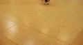 Funny Cute Dog Doesn't Want to Bathroom and Laying on Back. HD Footage