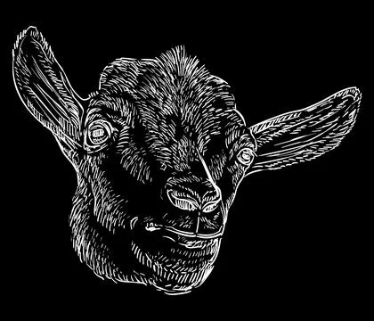 Funny cute goat head on a black hand drawing vector illustration Stock Illustration