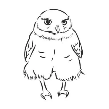 Funny cute owl character. vector sketch illustration. Stock Illustration