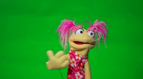 funny cute puppet green screen | Stock Video | Pond5