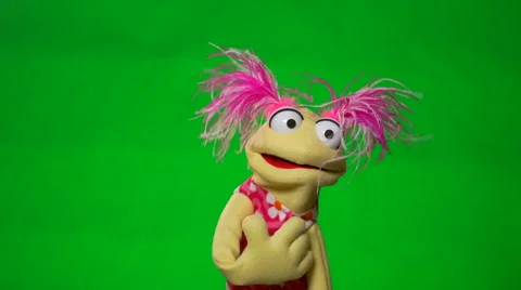 funny cute puppet green screen | Stock Video | Pond5