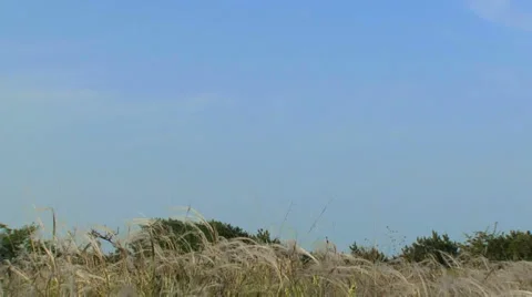 Funny dance Stock Footage 4059532