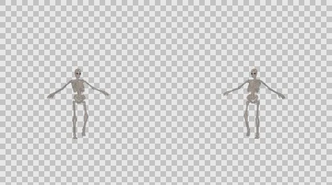 Funny Dancing Skeleton Duo at Ultra HD with Alpha Channel Stock Footage 60936404