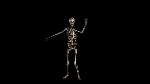 Funny Dancing Skeleton Stock Footage 117071047