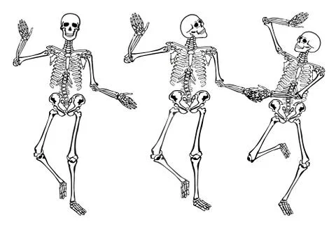 Funny dancing skeletons isolated on white background. Vector illustration, set Stock Illustration