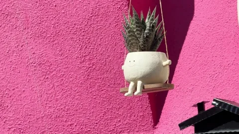 Funny decorative ceramic pot with green flower against the pink wall. Stock-Footage 298181971
