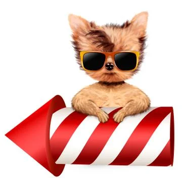 Funny dog holding firework rocket Ilustración de archivo