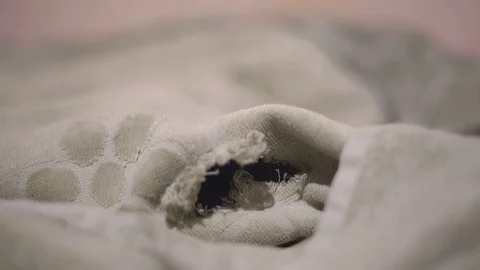 A funny domestic rat gnawed a hole in the blanket. A mouse snout from the burrow Stock Footage