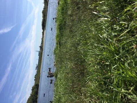 Funny ducks on lake Foto stock
