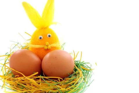 Funny easter bunny and eggs in the nest. Stock Photos