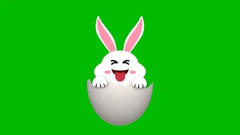 Funny easter bunny from cracked egg on green screen animation for easter fu.. Stock Illustration