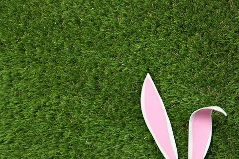 Funny Easter bunny ears on green grass, top view with space for text 스톡 사진