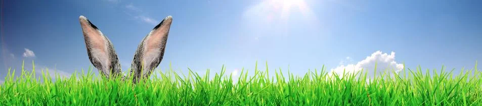 Funny Easter bunny. Happy Easter holiday concept. Stock Photos