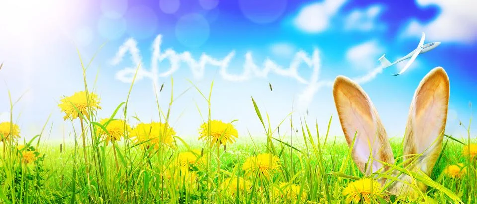 Funny Easter bunny. Happy Easter holiday concept. Stock Photos