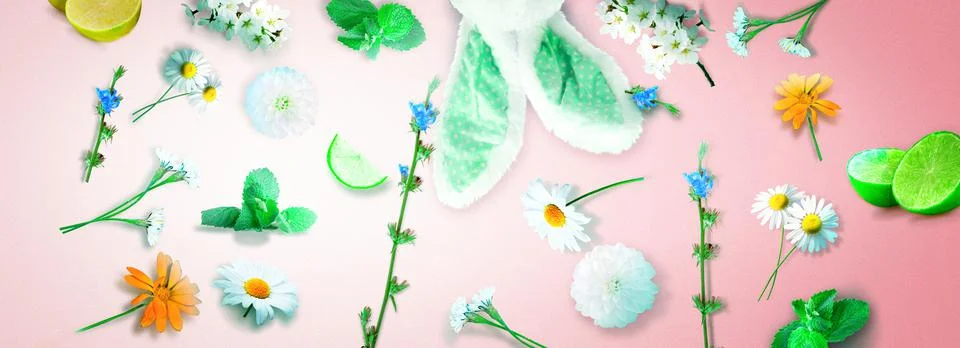 Funny Easter bunny. Happy Easter holiday concept. Stock Photos