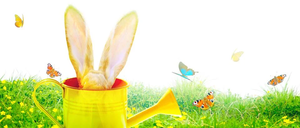 Funny Easter bunny. Happy Easter holiday concept. Foto stock