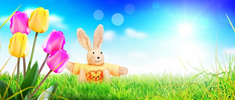 Funny Easter bunny. Happy Easter holiday concept. Foto stock