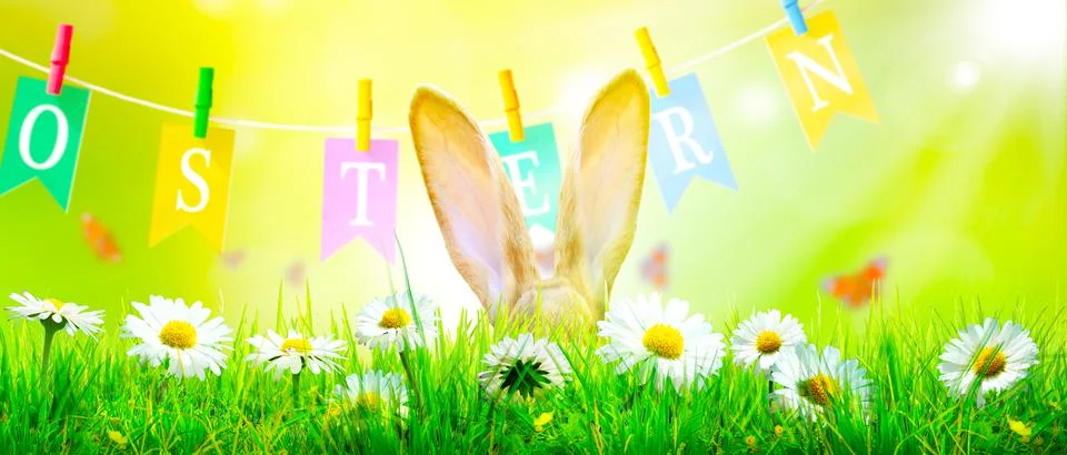 Funny Easter bunny. Happy Easter holiday concept. Stock Photos