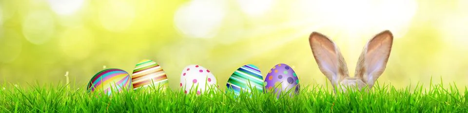 Funny Easter bunny. Happy Easter holiday concept. Stock Photos