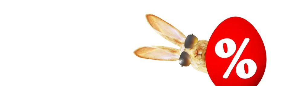 Funny Easter bunny. Happy Easter holiday concept. Stock Photos