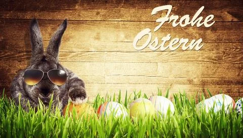 Funny Easter bunny. Happy Easter holiday concept. Stock Photos