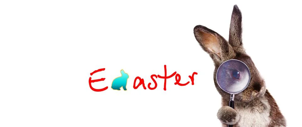 Funny Easter bunny. Happy Easter holiday concept. Stock Photos