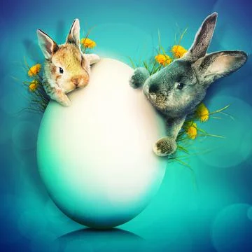 Funny Easter bunny. Happy Easter holiday concept. Foto stock