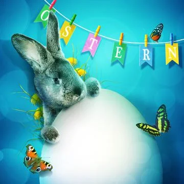 Funny Easter bunny. Happy Easter holiday concept. Stock Photos