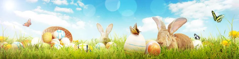 Funny Easter bunny. Happy Easter holiday concept. Stock Photos