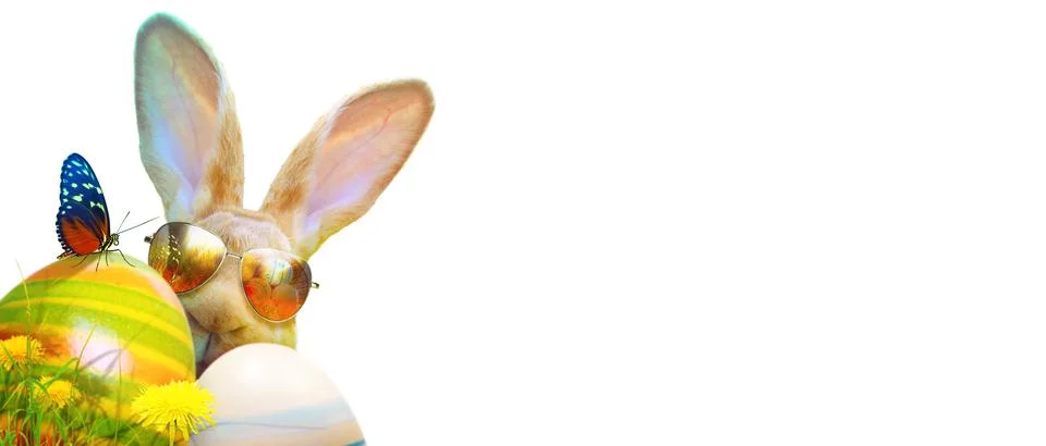 Funny Easter bunny. Happy Easter holiday concept. Stock Photos