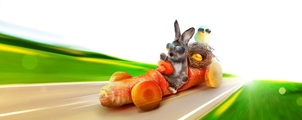 Funny Easter bunny. Happy Easter holiday concept. Stock Photos