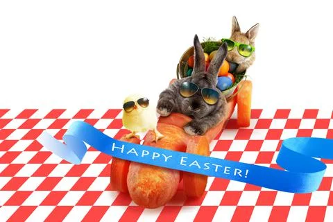 Funny Easter bunny. Happy Easter holiday concept. Stock Photos
