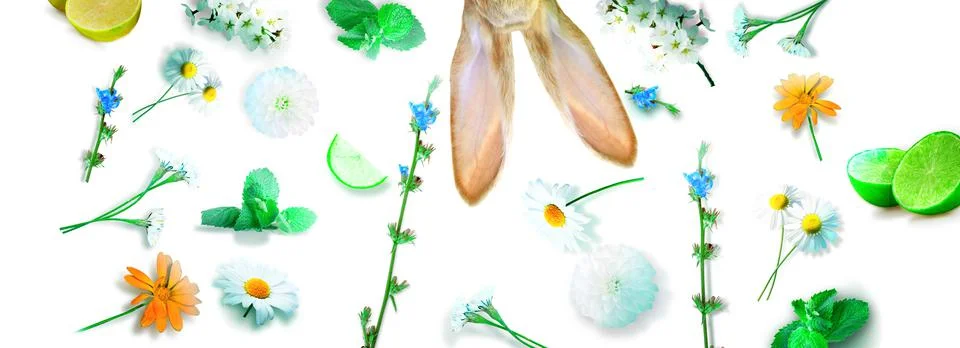 Funny Easter bunny. Happy Easter holiday concept. Stock Photos