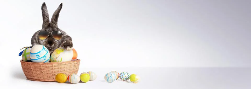 Funny Easter bunny. Happy Easter holiday concept. Stock Photos