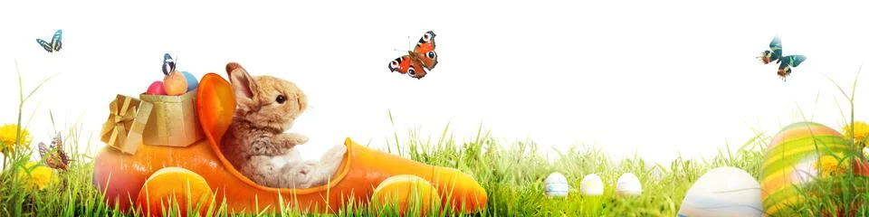 Funny Easter bunny. Happy Easter holiday concept. Stock Photos